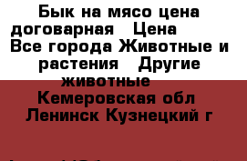 Бык на мясо цена договарная › Цена ­ 300 - Все города Животные и растения » Другие животные   . Кемеровская обл.,Ленинск-Кузнецкий г.